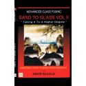 DVD - SAND TO GLASS VOL.2 DAVID ALCALA